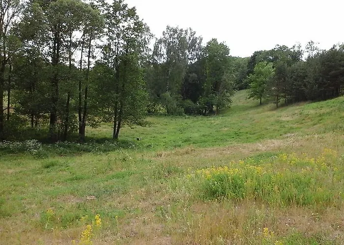 Zagroda Z Antonowka
