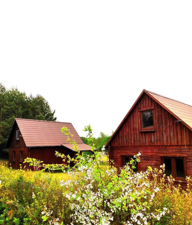 Farm stay Zagroda Z Antonowka Szypliszki