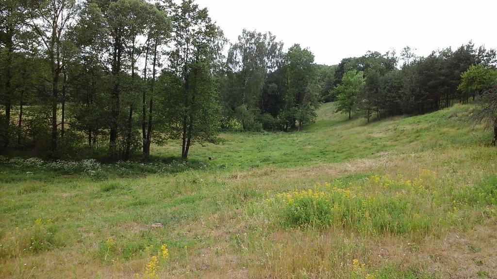 Zagroda Z Antonowka Farm stay *