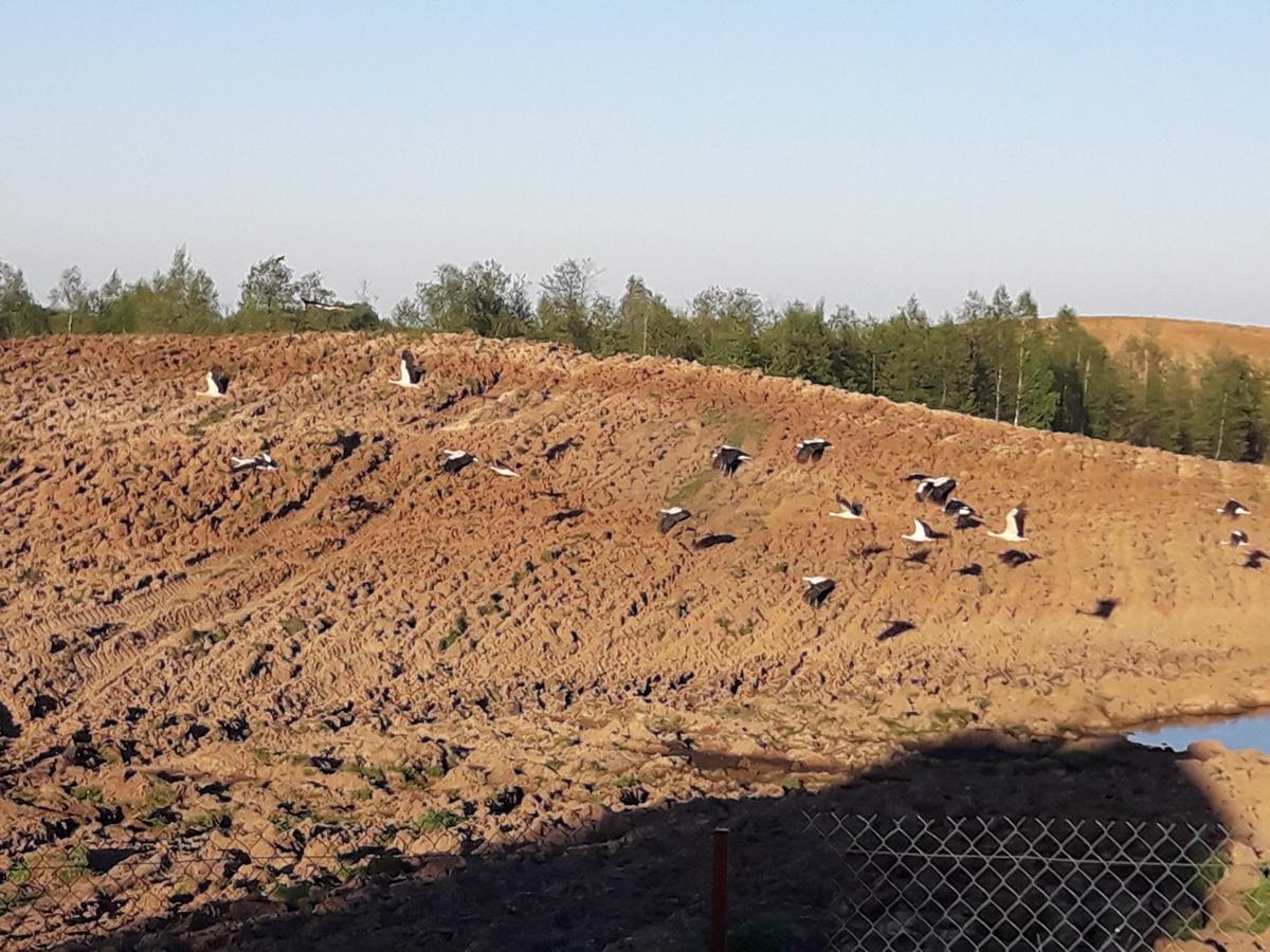 Zagroda Z Antonowka Farm stay Szypliszki